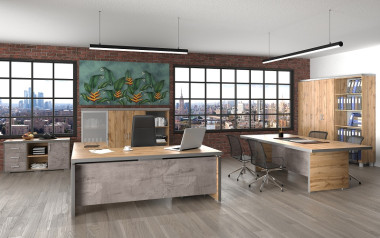 Кабинет руководителя Турин — Аэлита